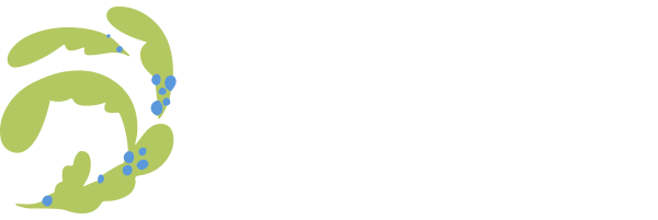 Inkluvision